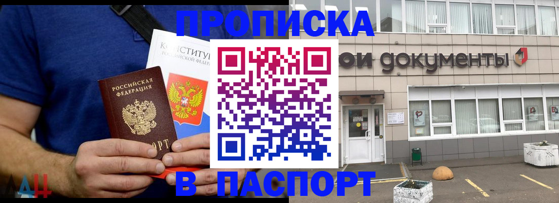 прописка паспорт в Вельске